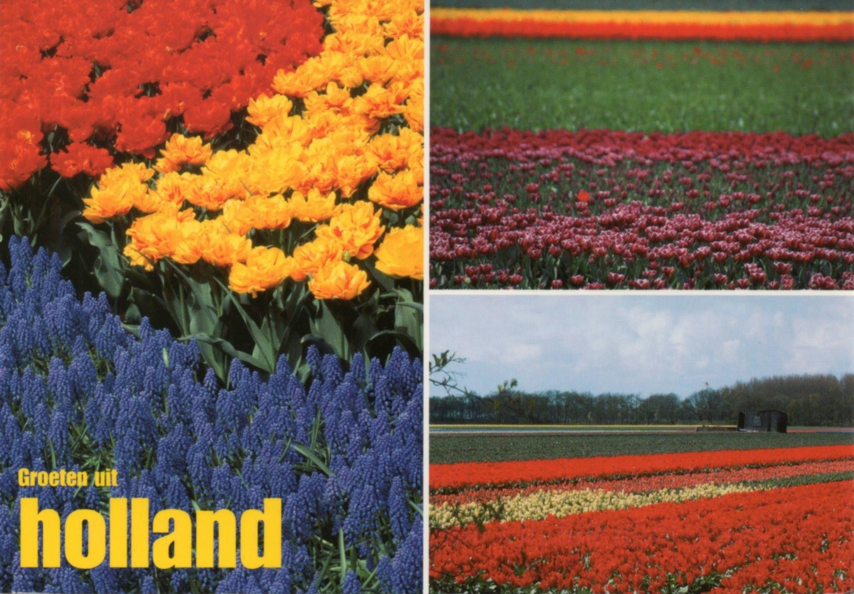 Netherlands card front 18