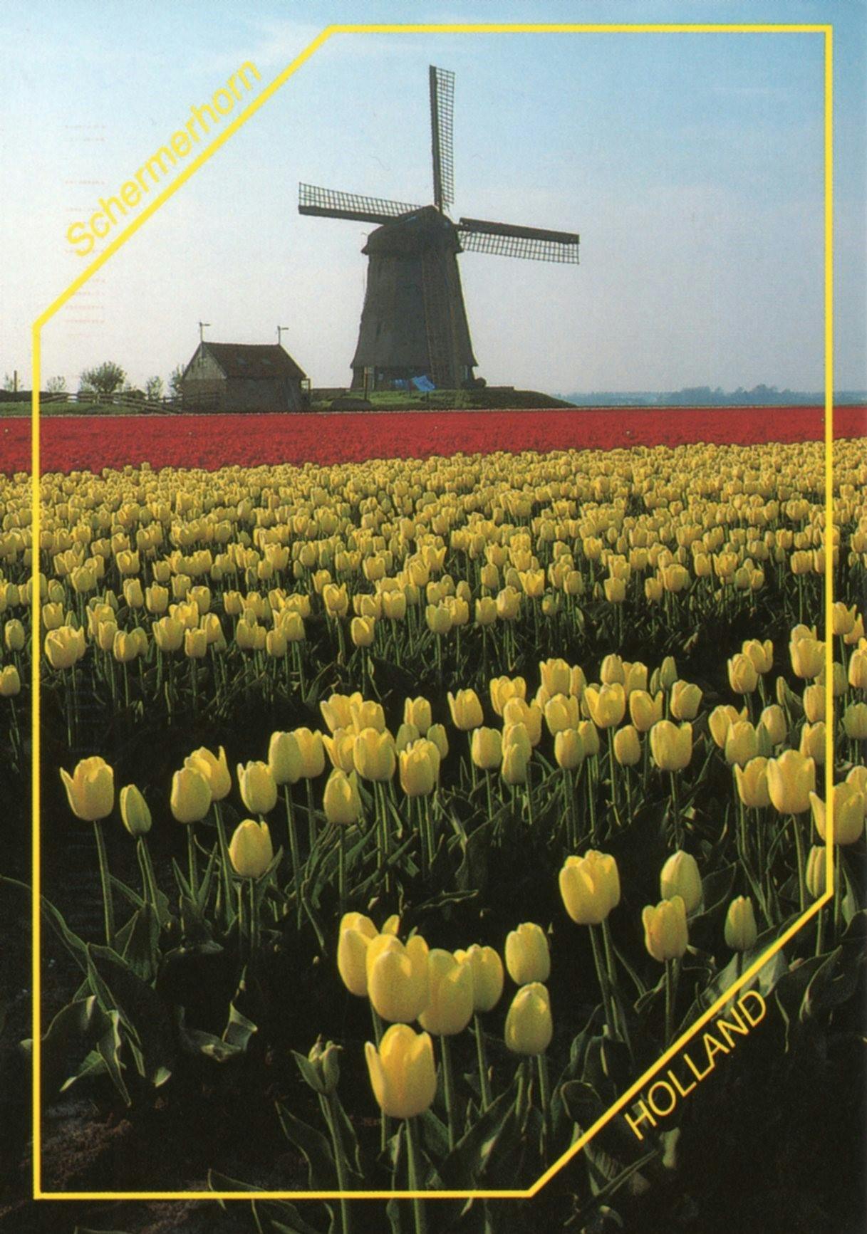 Netherlands card front 15