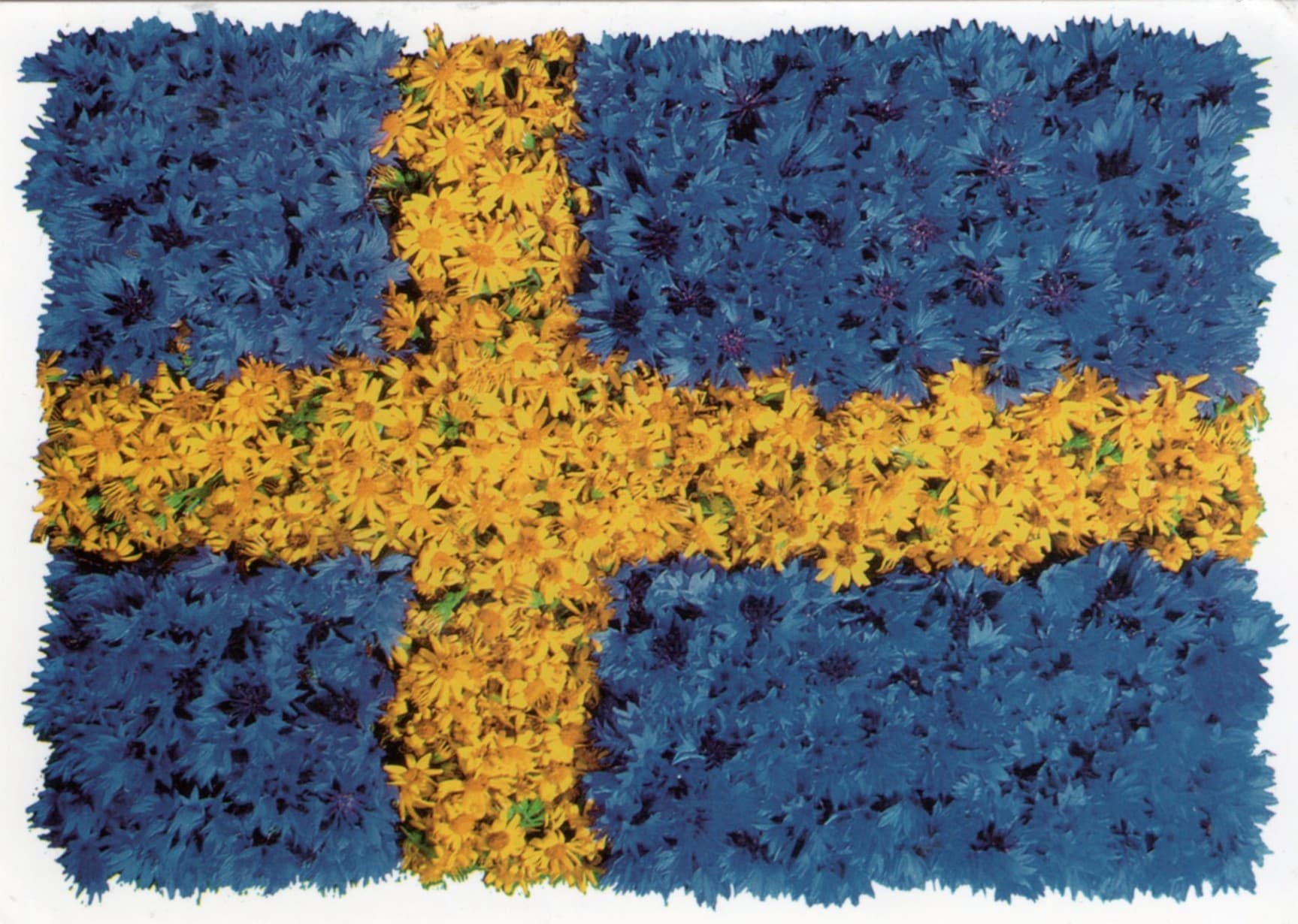 Sweden card front 1